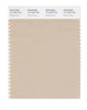 Pantone SMART Color Swatch 14-1209 TCX Smoke Gray