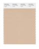 Pantone SMART Color Swatch Card 14-1212 TCX Frapp_