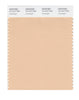 Pantone SMART Color Swatch 14-1217 TCX Amberlight