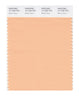 Pantone SMART Color Swatch 14-1225 TCX Beach Sand