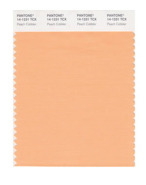 Pantone SMART Color Swatch 14-1231 TCX Peach Cobbler