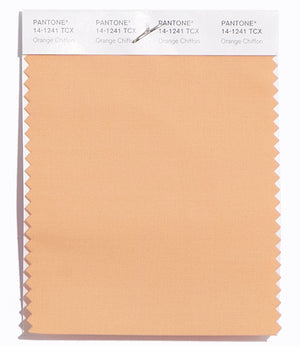 Pantone SMART Color Swatch 14-1241 TCX Orange Chiffon