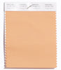 Pantone SMART Color Swatch 14-1241 TCX Orange Chiffon