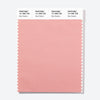 Pantone Polyester Swatch Card 14-1906 TSX Boto Dolphin