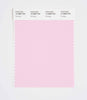 Pantone SMART Color Swatch 14-2806 TCX Nosegay