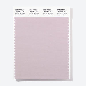 Pantone Polyester Swatch Card 14-3902 TSX Dream of Cotton