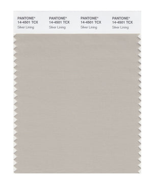 Pantone SMART Color Swatch 14-4501 TCX Silver Lining