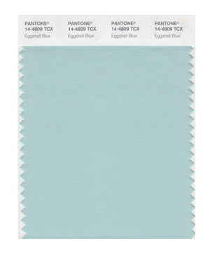 Pantone SMART Color Swatch 14-4809 TCX Eggshell Blue