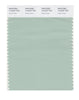 Pantone SMART Color Swatch 14-5707 TCX Aqua Foam