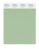 Pantone SMART Color Swatch 14-6316 TCX Sprucestone