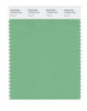 Pantone SMART Color Swatch 14-6324 TCX Peapod