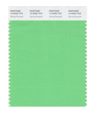 Pantone SMART Color Swatch Card 14-6340 TCX Spring Bouquet
