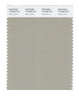 Pantone SMART Color Swatch 14-6408 TCX Abbey Stone