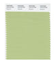 Pantone SMART Color Swatch 14-0116 TCX Margarita