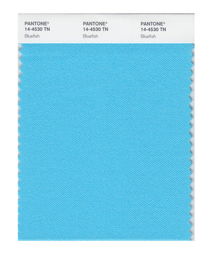 Pantone Nylon Brights Color Swatch 14-4530 TN Bluefish
