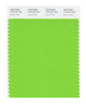 Pantone SMART Color Swatch 15-0146 TCX Green Flash