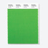 Pantone Polyester Swatch Card 15-0262 TSX Lime Zest