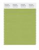 Pantone SMART Color Swatch 15-0336 TCX Herbal Garden