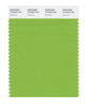 Pantone SMART Color Swatch 15-0343 TCX Greenery