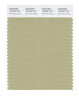 Pantone SMART Color Swatch 15-0522 TCX Pale Olive Green