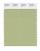 Pantone SMART Color Swatch 15-0523 TCX Winter Pear
