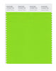 Pantone SMART Color Swatch 15-0545 TCX Jasmine Green