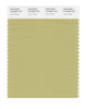 Pantone SMART Color Swatch 15-0628 TCX Leek Green