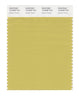 Pantone SMART Color Swatch 15-0636 TCX Golden Green
