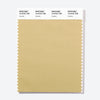 Pantone Polyester Swatch Card 15-0722 TSX Lioness