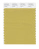Pantone SMART Color Swatch 15-0732 TCX Olivenite