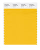 Pantone SMART Color Swatch 15-0955 TCX Old Gold