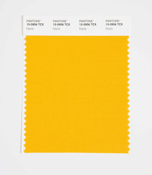 Pantone SMART Color Swatch 15-0956 TCX Daylily