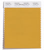 Pantone SMART Color Swatch 15-0960 TCX Mango Mojito
