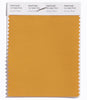 Pantone SMART Color Swatch 15-1045 TCX Autumn Blaze
