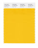 Pantone SMART Color Swatch 15-1062 TCX Gold Fusion