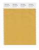 Pantone SMART Color Swatch 15-1142 TCX Honey Gold