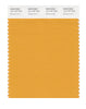 Pantone SMART Color Swatch 15-1147 TCX Butterscotch