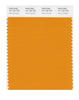 Pantone SMART Color Swatch 15-1150 TCX Dark Cheddar