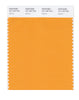 Pantone SMART Color Swatch 15-1153 TCX Apricot