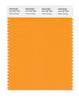 Pantone SMART Color Swatch 15-1157 TCX Flame Orange