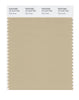Pantone SMART Color Swatch 15-1216 TCX Pale Khaki