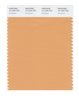 Pantone SMART Color Swatch 15-1234 TCX Gold Earth