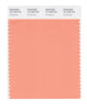 Pantone SMART Color Swatch 15-1239 TCX Canteloupe