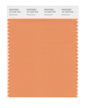 Pantone SMART Color Swatch 15-1242 TCX Muskmelon