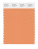 Pantone SMART Color Swatch 15-1242 TCX Muskmelon