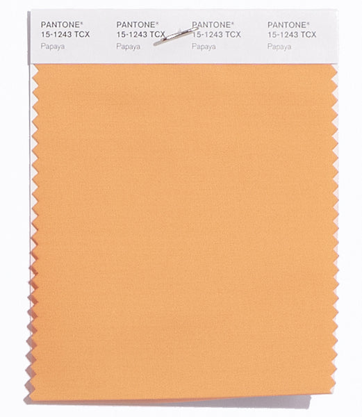 Color 1523 Pantone SMART Color Swatch Card 15-1243 TCX Papaya - Columbia Omni Studio