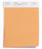 Pantone SMART Color Swatch 15-1243 TCX Papaya