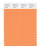 Pantone SMART Color Swatch 15-1247 TCX Tangerine