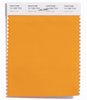 Pantone SMART Color Swatch 15-1262 TCX Carrot Curl
