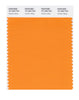 Pantone SMART Color Swatch 15-1263 TCX Autumn Glory